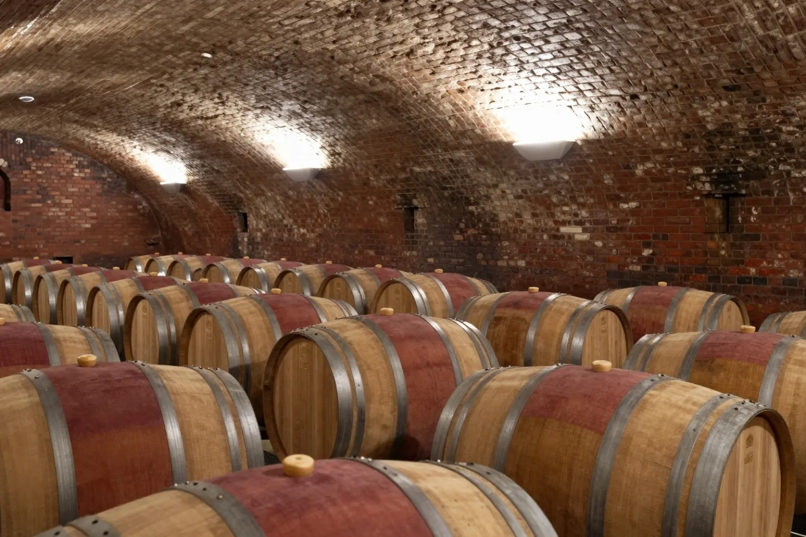 Botti di rovere in fila nella cantina della tenuta